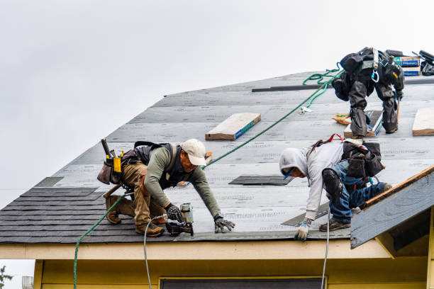 Professional Gutter Installation technician working in LaFayette, GA